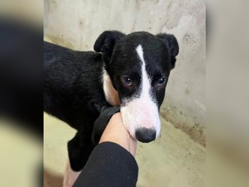 Cash - aufgeschlossen & stets freundlich