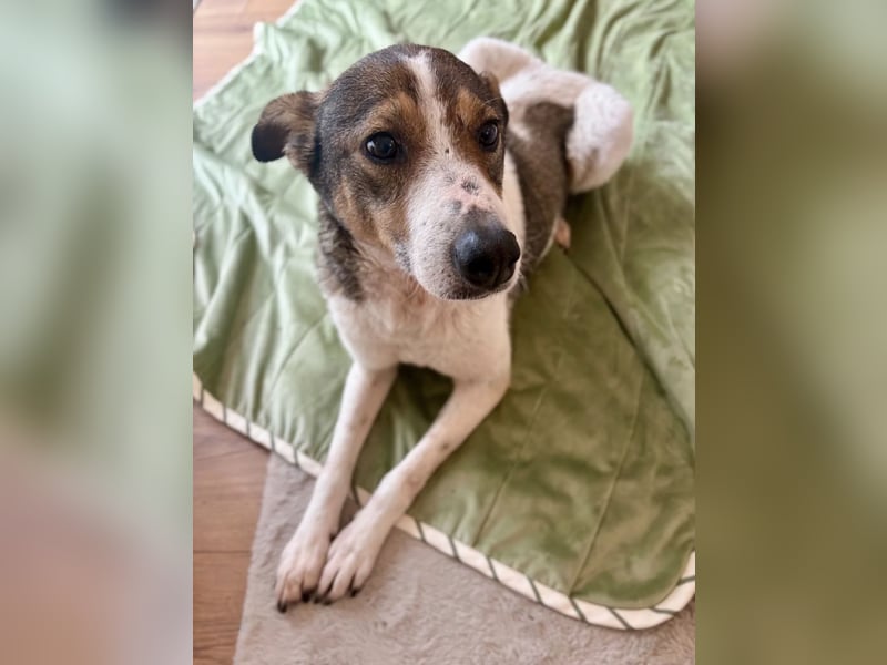 Princess, süße Maus wartet auf ihre Herzensmenschen