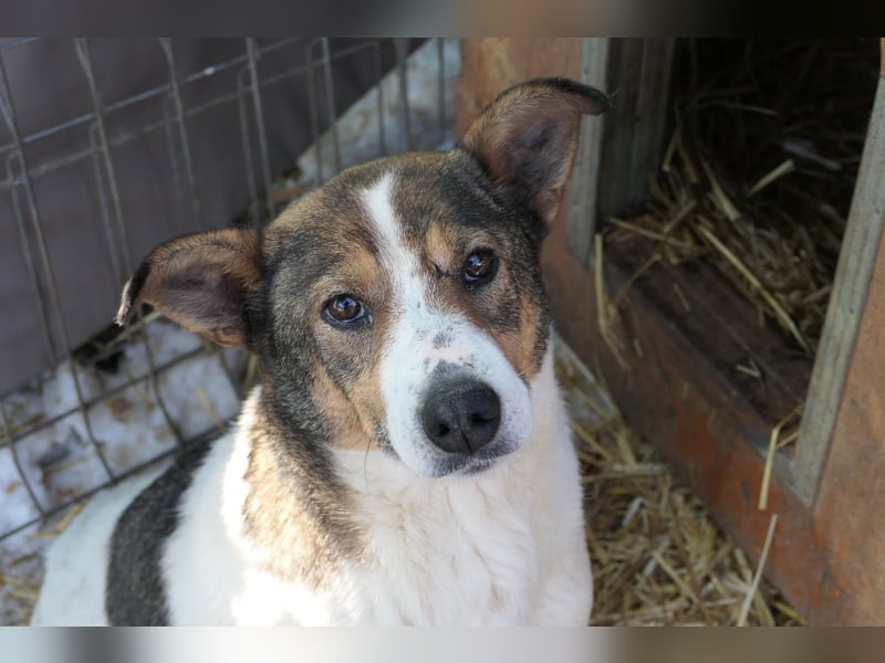 Princess, süße Maus wartet auf ihre Herzensmenschen