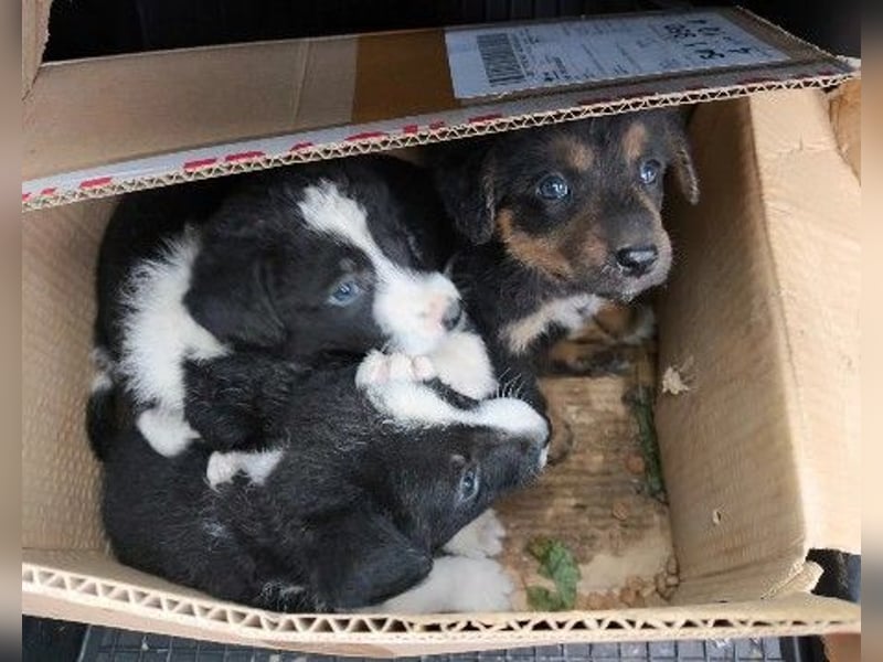 Cash - aufgeschlossen & stets freundlich