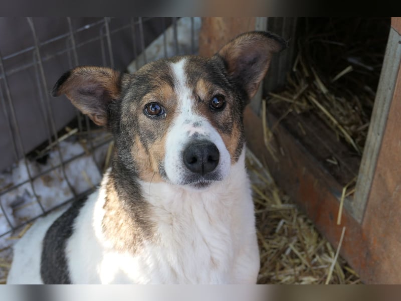 Princess, süße Maus wartet auf ihre Herzensmenschen