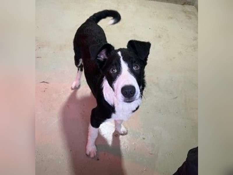 Cash - aufgeschlossen & stets freundlich