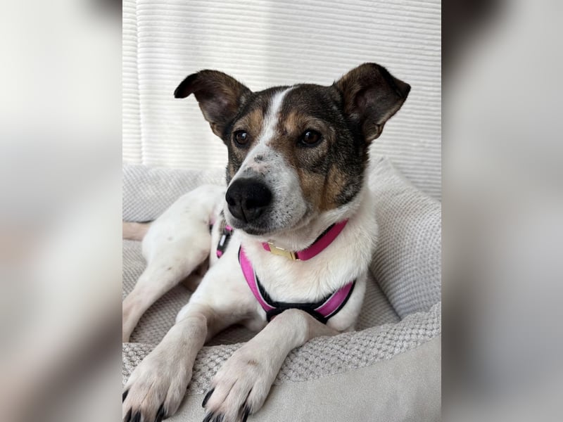 Princess, süße Maus wartet auf ihre Herzensmenschen