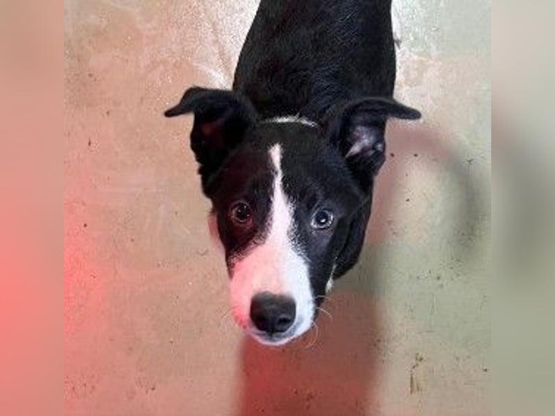 Cash - aufgeschlossen & stets freundlich