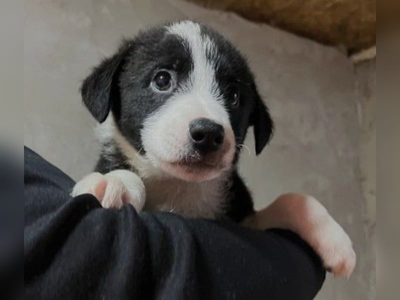 Cash - aufgeschlossen & stets freundlich