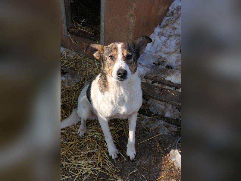 Princess, süße Maus wartet auf ihre Herzensmenschen