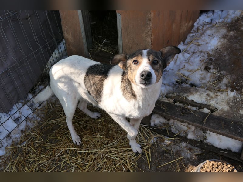 Princess, süße Maus wartet auf ihre Herzensmenschen