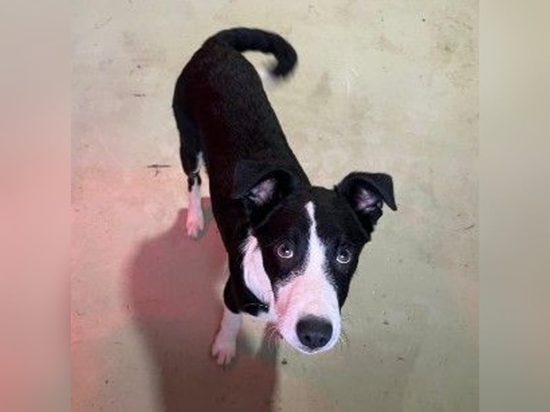 Cash - aufgeschlossen & stets freundlich