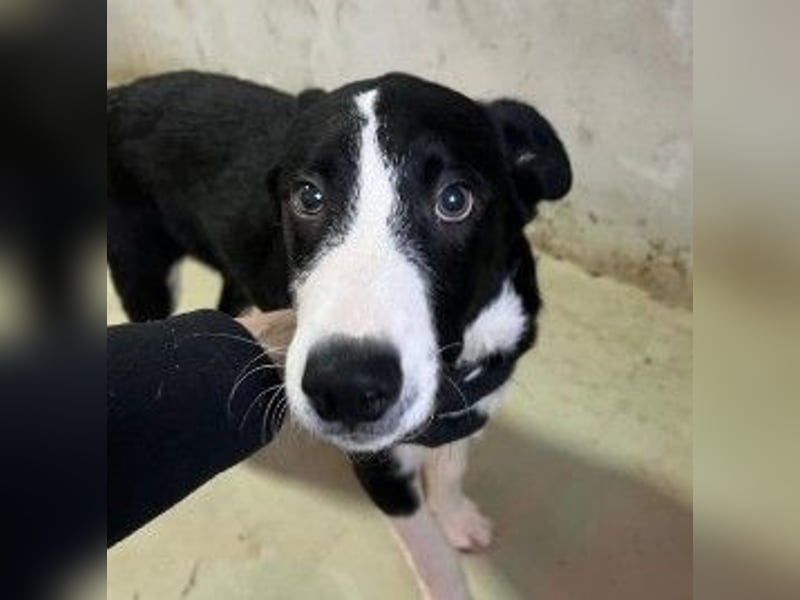 Cash - aufgeschlossen & stets freundlich