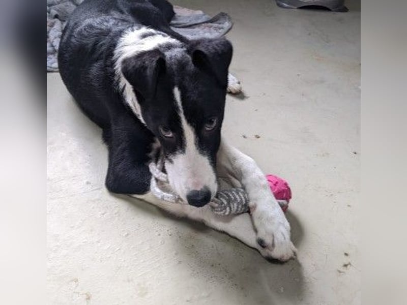 Cash - aufgeschlossen & stets freundlich