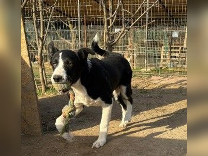 Cash - aufgeschlossen & stets freundlich