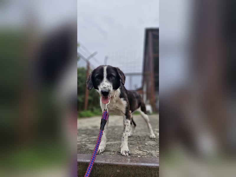 SOLY sucht ein Zuhause