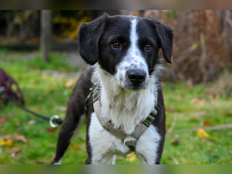 SOLY sucht ein Zuhause