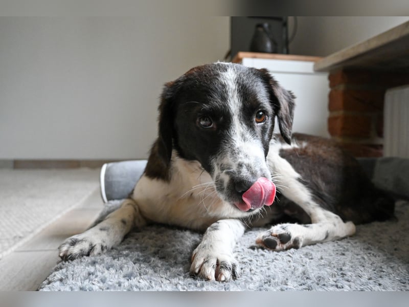 SOLY sucht ein Zuhause