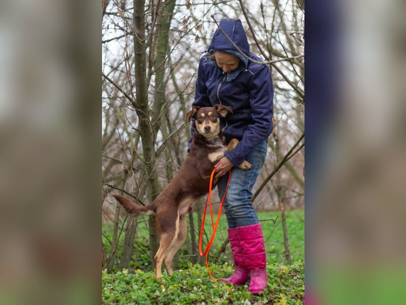 DOBBY Darf es ein bisschen Magie sein? (Ukraine)