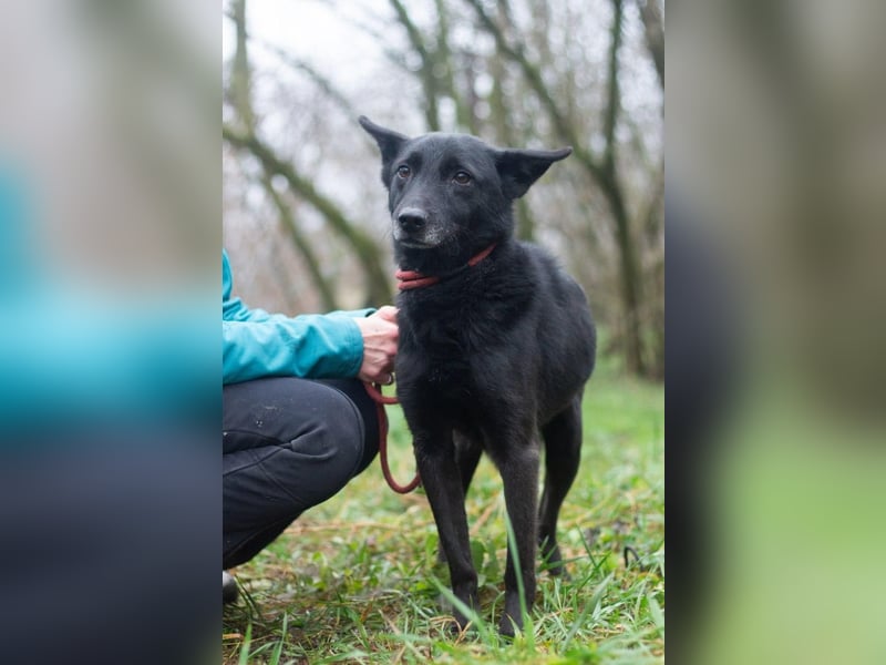 Baron - Hat alles verloren (Ukraine)