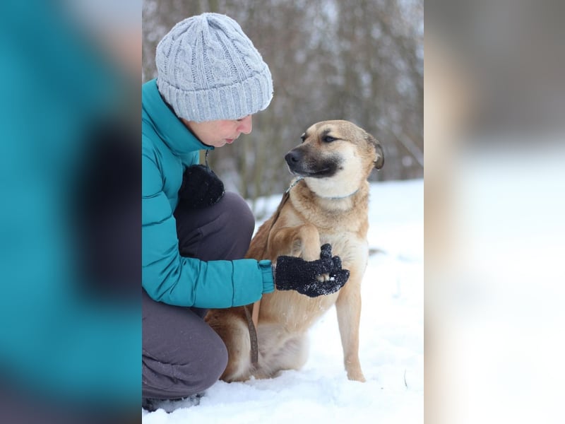 ODREY Tapfere Mamahündin (Ukraine)