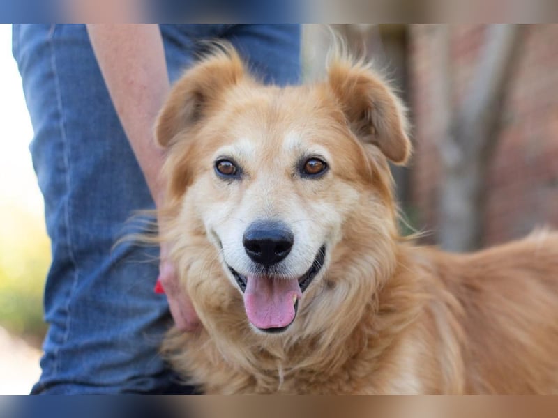 Matias - braucht nicht viel zu seinem Glück (Ukraine)