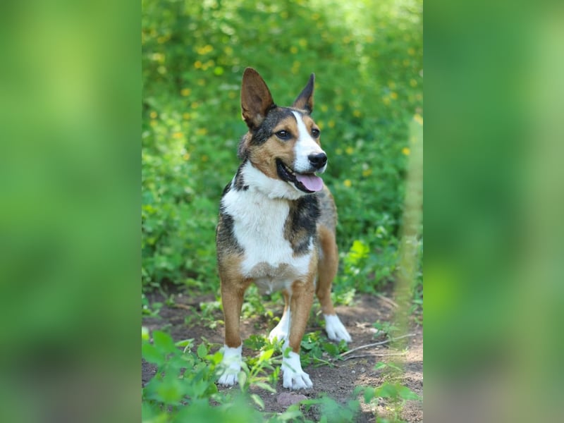Nick - Bringt Farbe in jedes Leben (Ukraine)