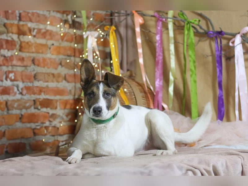 Dar - Aktiver Abenteurer (Ukraine)