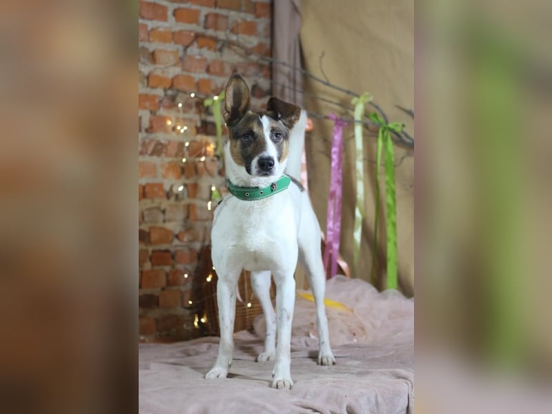 Dar - Aktiver Abenteurer (Ukraine)