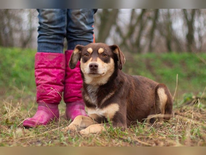 DOBBY Darf es ein bisschen Magie sein? (Ukraine)