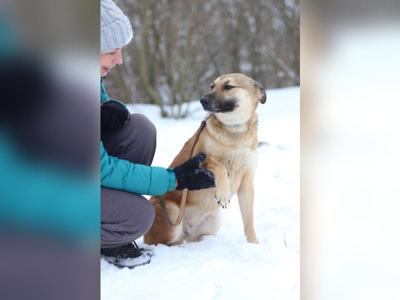 ODREY Tapfere Mamahündin (Ukraine)