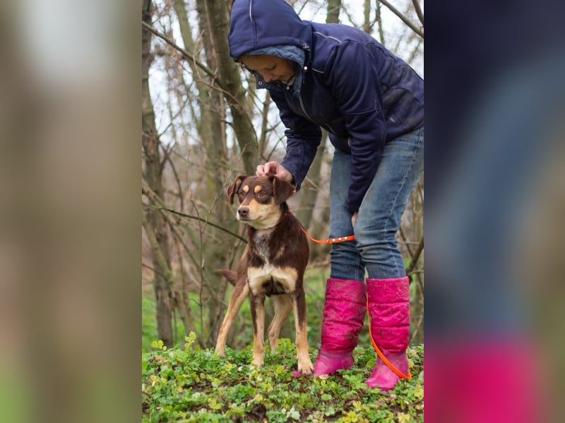 DOBBY Darf es ein bisschen Magie sein? (Ukraine)