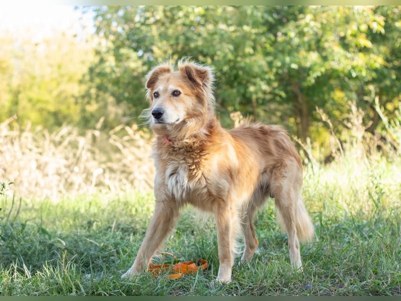 Matias - braucht nicht viel zu seinem Glück (Ukraine)