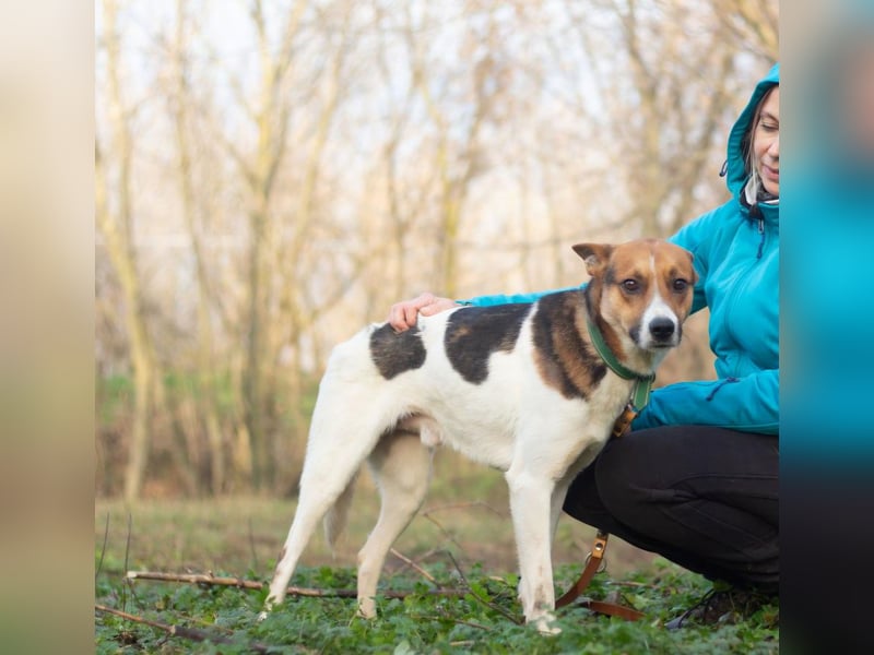 Ryabchik - Fröhlicher Überlebenskünstler (Ukraine)