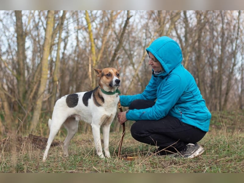 Ryabchik - Fröhlicher Überlebenskünstler (Ukraine)