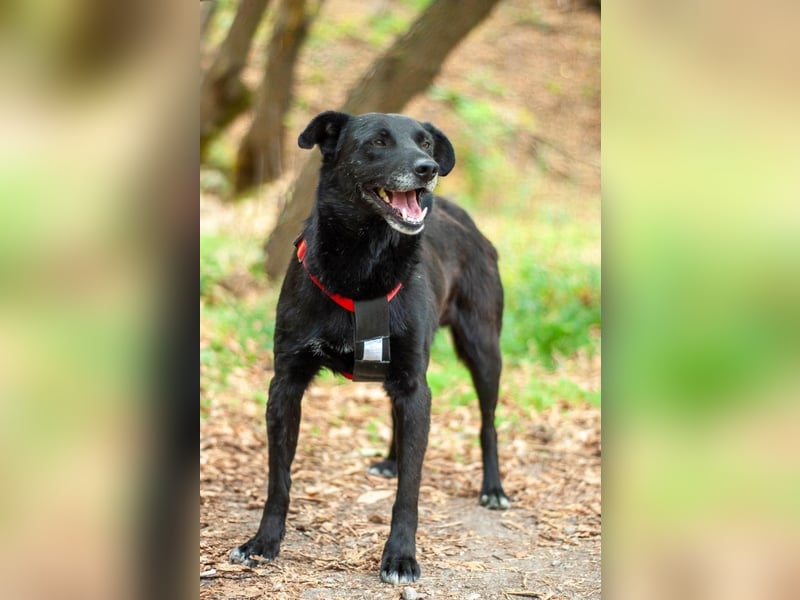 WEST Möchte endlich ankommen (Ukraine)