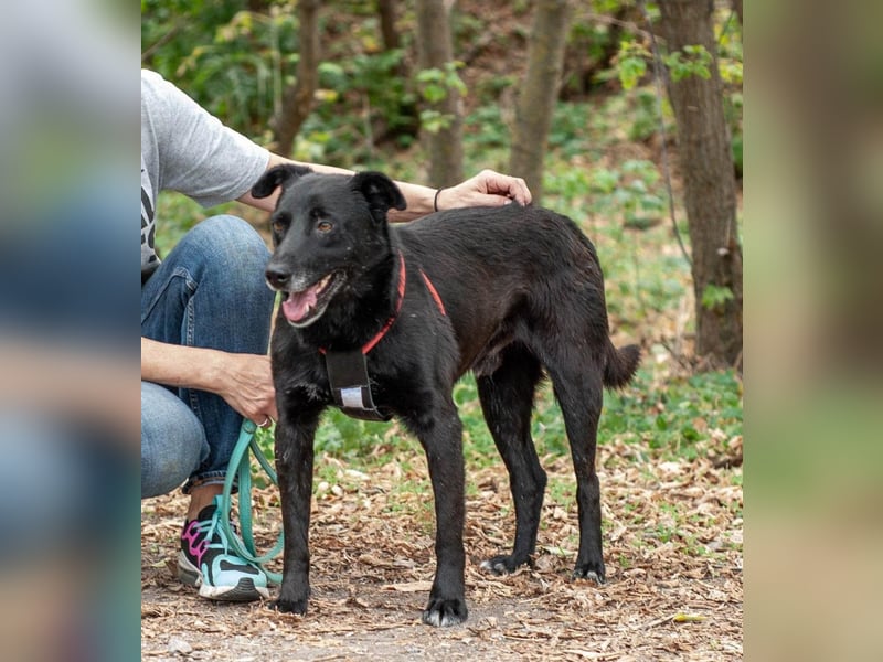 WEST Möchte endlich ankommen (Ukraine)