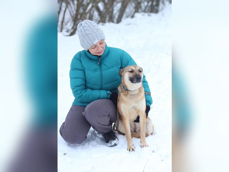 ODREY Tapfere Mamahündin (Ukraine)