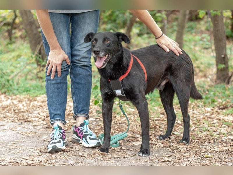 WEST Möchte endlich ankommen (Ukraine)