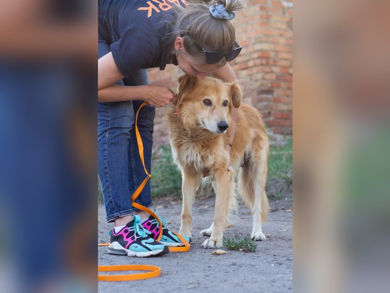 Matias - braucht nicht viel zu seinem Glück (Ukraine)
