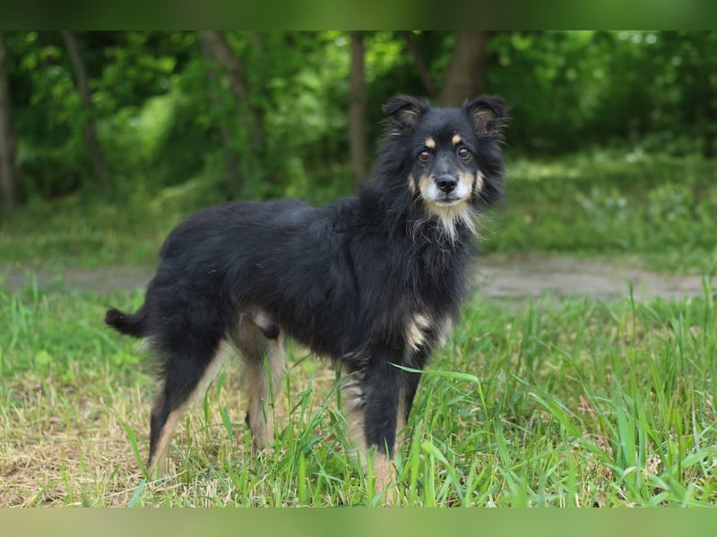 CHUCK Liebenswerter Senior (Ukraine)