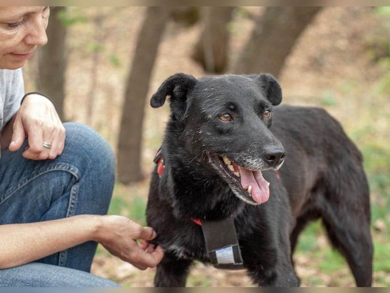 WEST Möchte endlich ankommen (Ukraine)