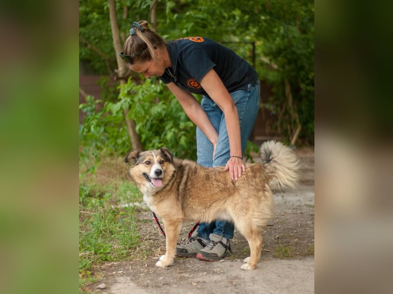 Rostik - Verträglicher Charmeur (Ukraine)