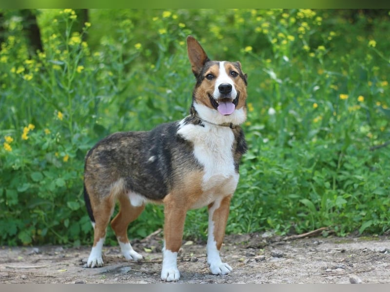 Nick - Bringt Farbe in jedes Leben (Ukraine)