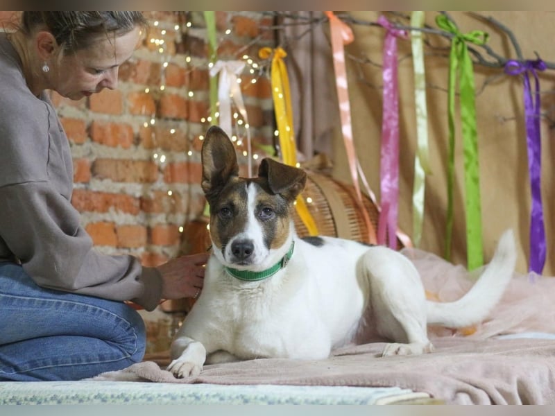 Dar - Aktiver Abenteurer (Ukraine)