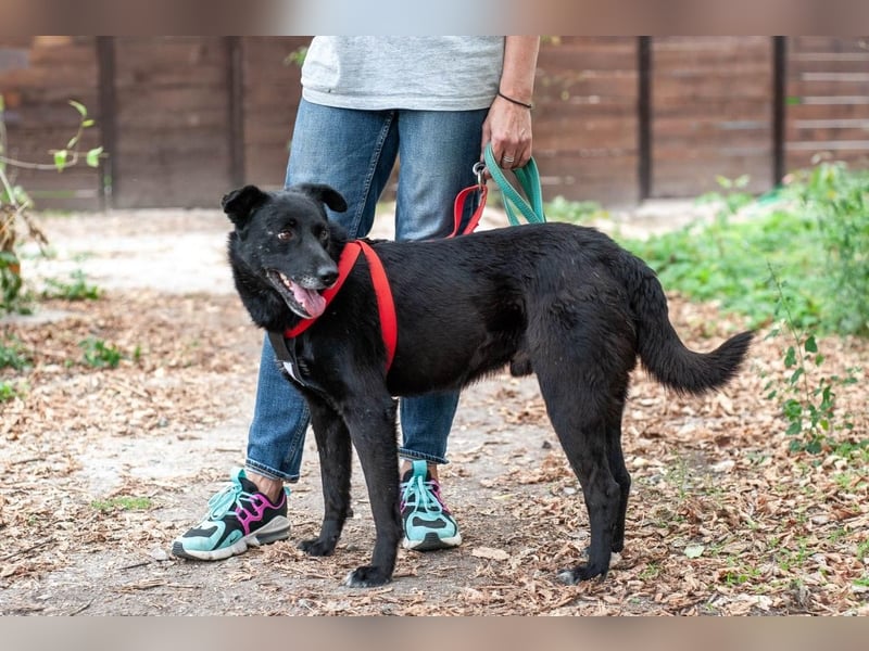 WEST Möchte endlich ankommen (Ukraine)