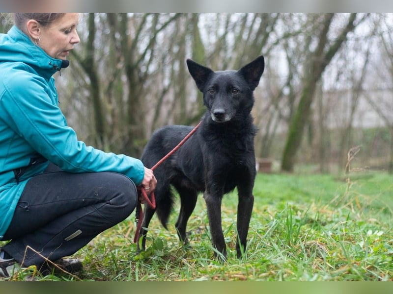 Baron - Hat alles verloren (Ukraine)