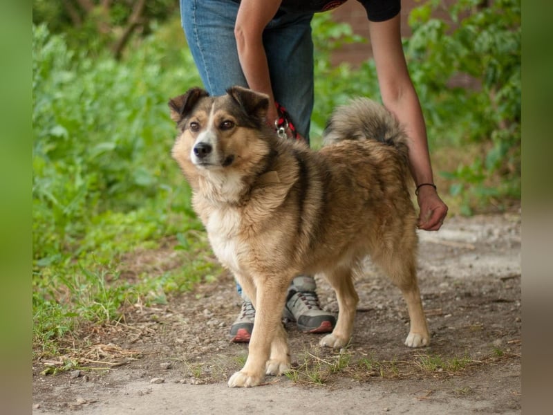 Rostik - Verträglicher Charmeur (Ukraine)