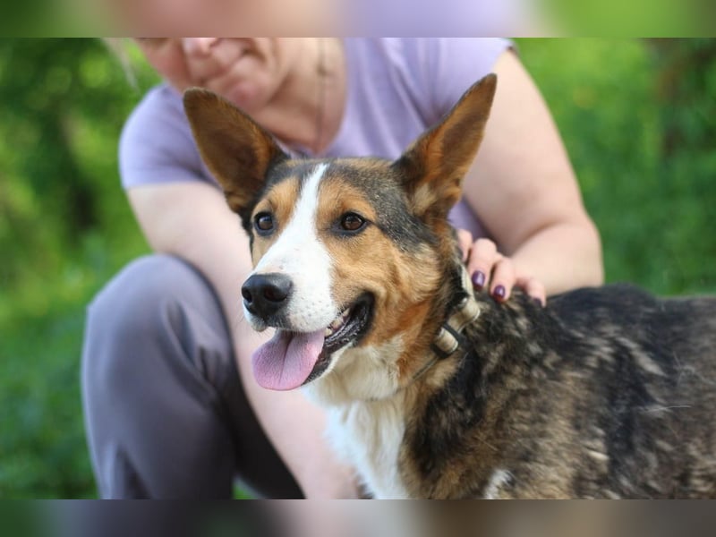 Nick - Bringt Farbe in jedes Leben (Ukraine)