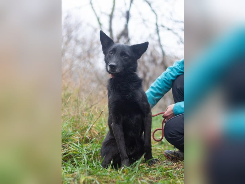 Baron - Hat alles verloren (Ukraine)