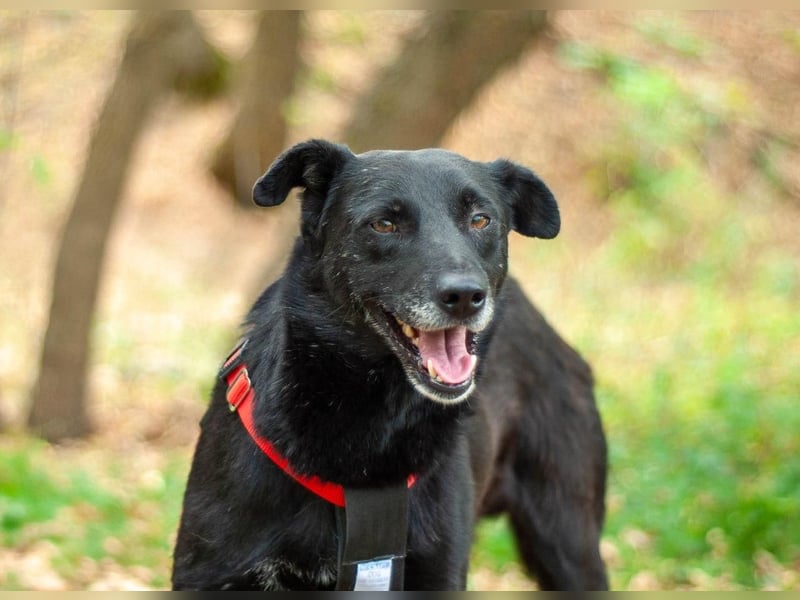 WEST Möchte endlich ankommen (Ukraine)