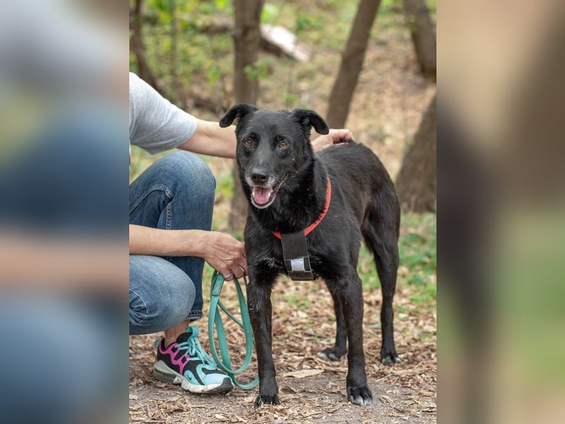 WEST Möchte endlich ankommen (Ukraine)