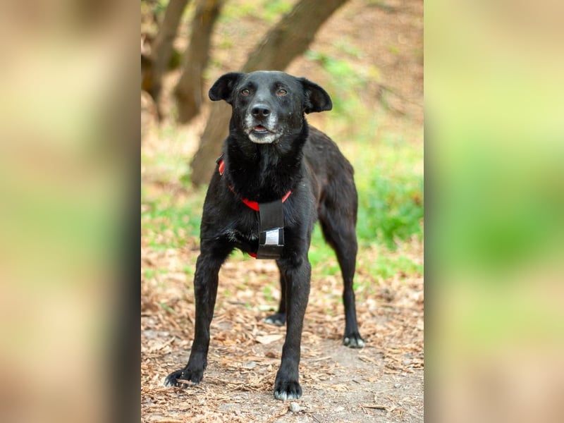 WEST Möchte endlich ankommen (Ukraine)