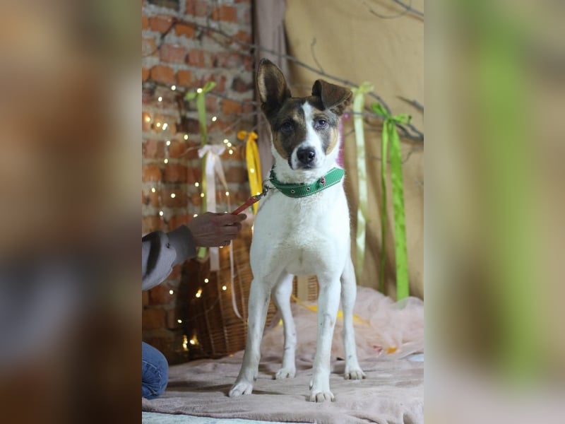 Dar - Aktiver Abenteurer (Ukraine)